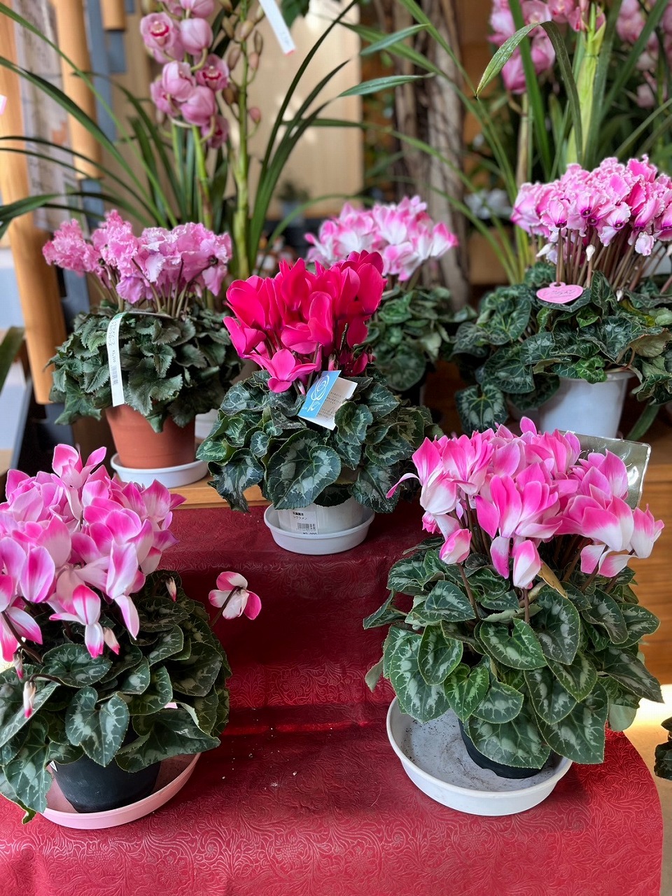 造花　【18種】まとめ売り 12月14日～入荷～｜【佐藤園芸】長野市でご自宅のエクステリアを中心に