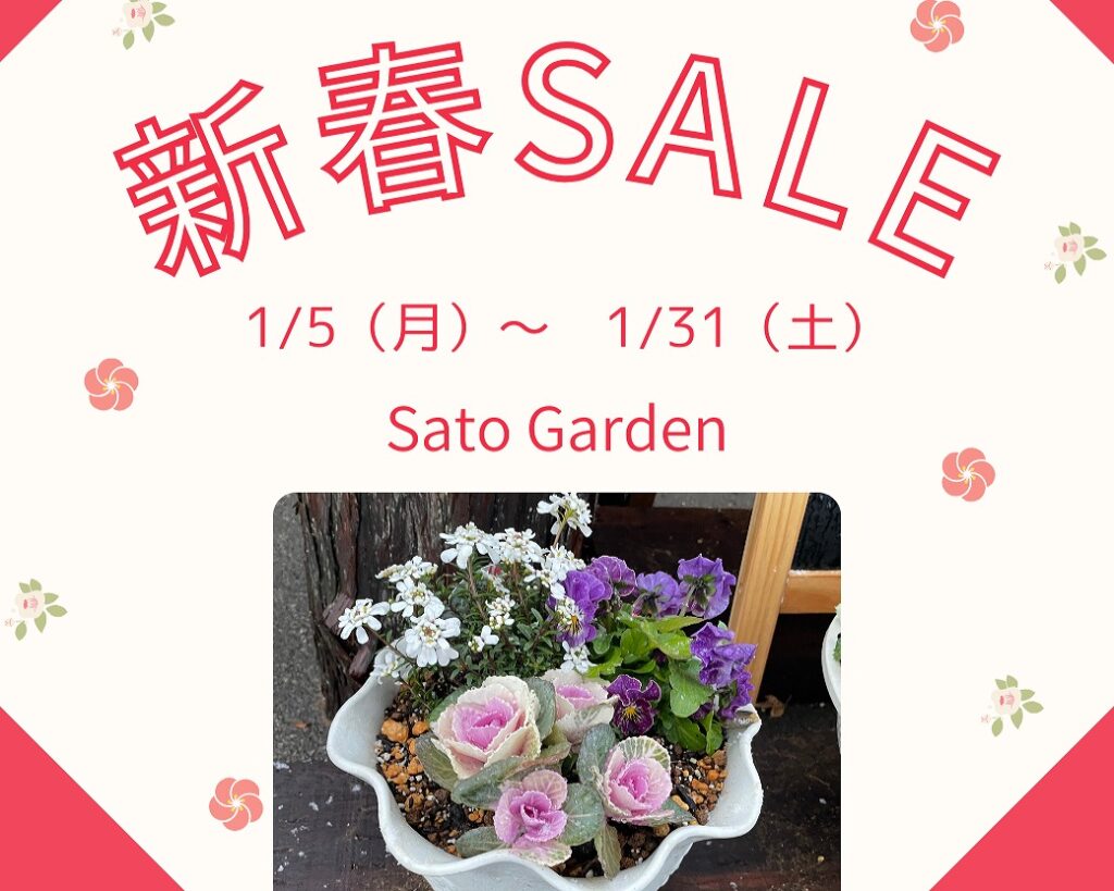 【お知らせ】新春セール開催中！