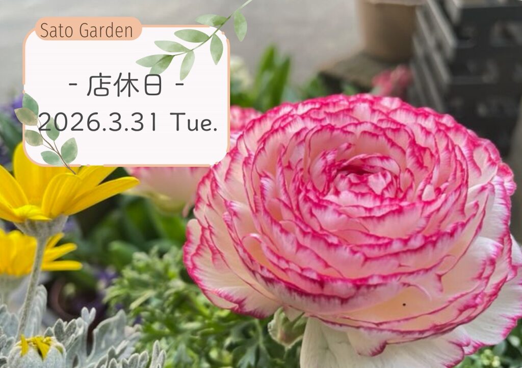 【お知らせ】2026.3.31-店休日