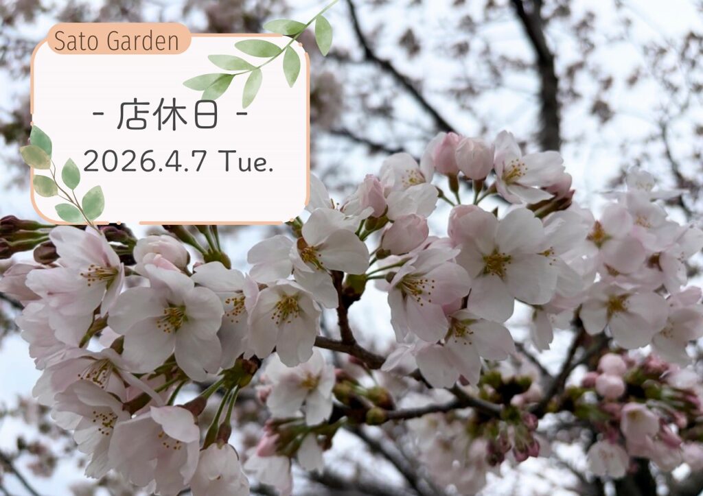【店休日】2026.4.7