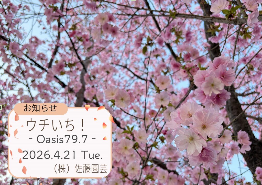 【お知らせ】2026.4.21- FM長野 Oasis79.7～ウチいち