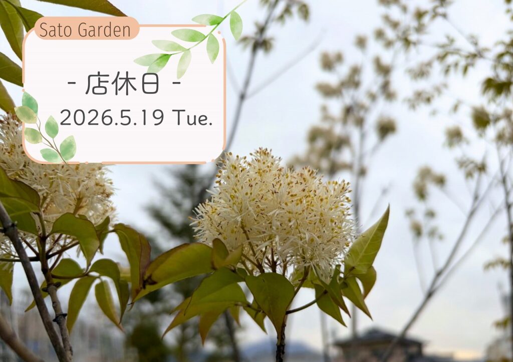 【店休日】2026.5.19