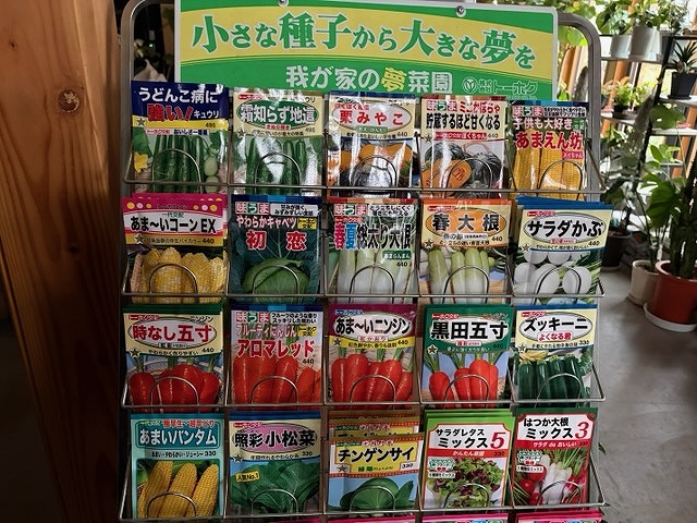 【入荷情報】野菜・花の種
