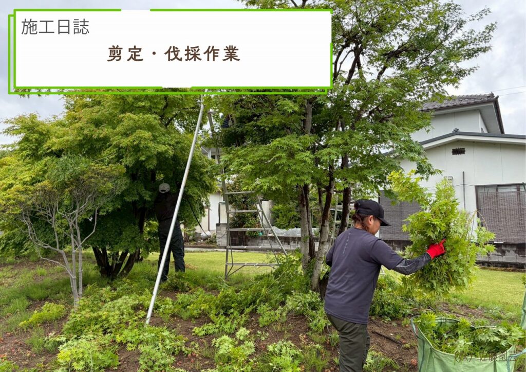 【施工日誌】剪定・伐採作業