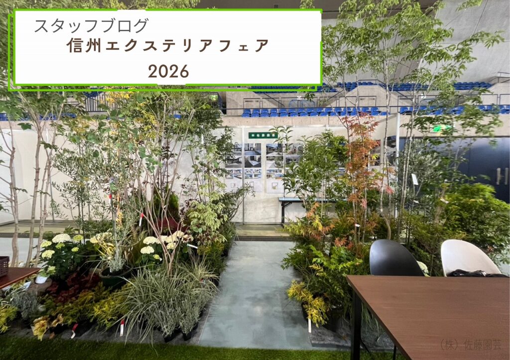 【スタッフブログ】信州エクステリアフェア2026‐展示に使用した植物ご紹介🌿‐