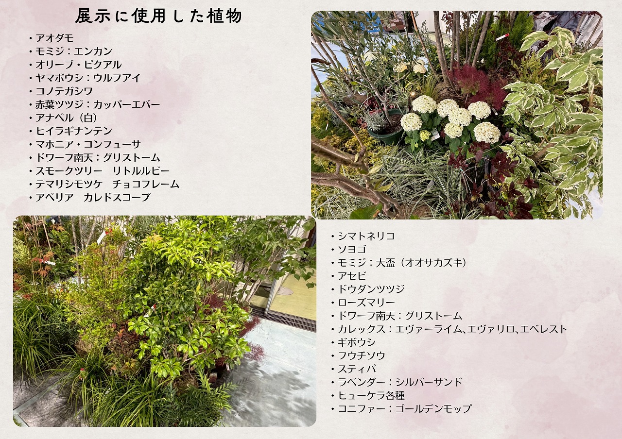 スタッフブログ】信州エクステリアフェア2026‐展示に使用した植物ご