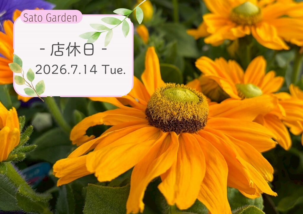【店休日】2026.7.14