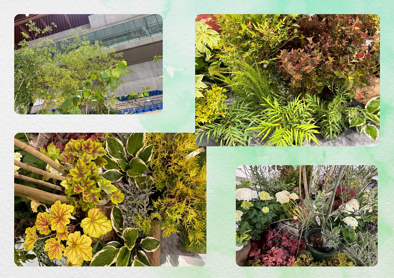 スタッフブログ】信州エクステリアフェア2026‐展示に使用した植物ご