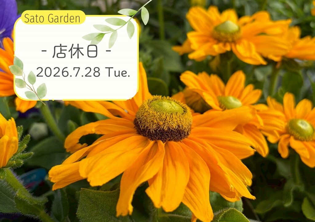 【店休日】2026.7.28