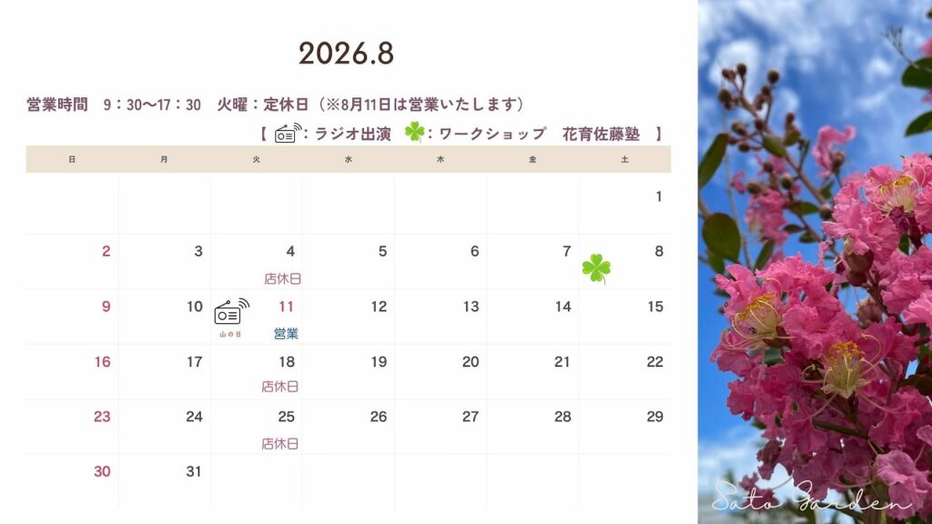 【Sato Garden】営業のお知らせ‐2026年8月‐