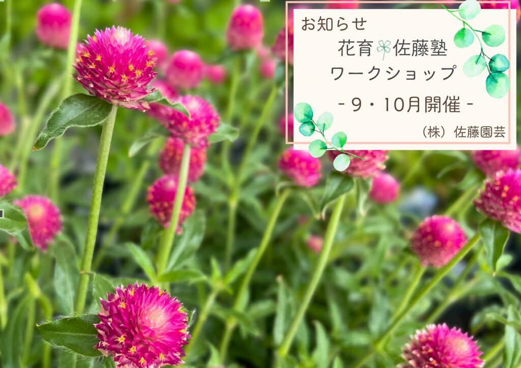 【お知らせ】ワークショップ【花育🍀佐藤塾】2026年9・10月スケジュール