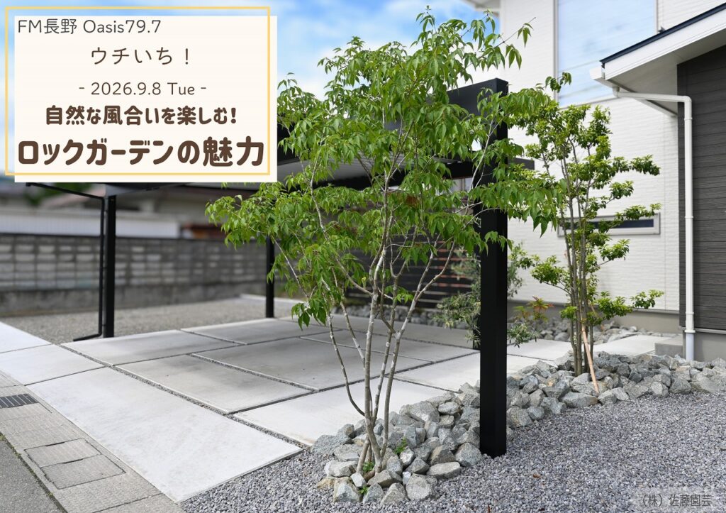 【Oasis79.7 ウチいち!】自然な風合いを楽しむ!ロックガーデンの魅力