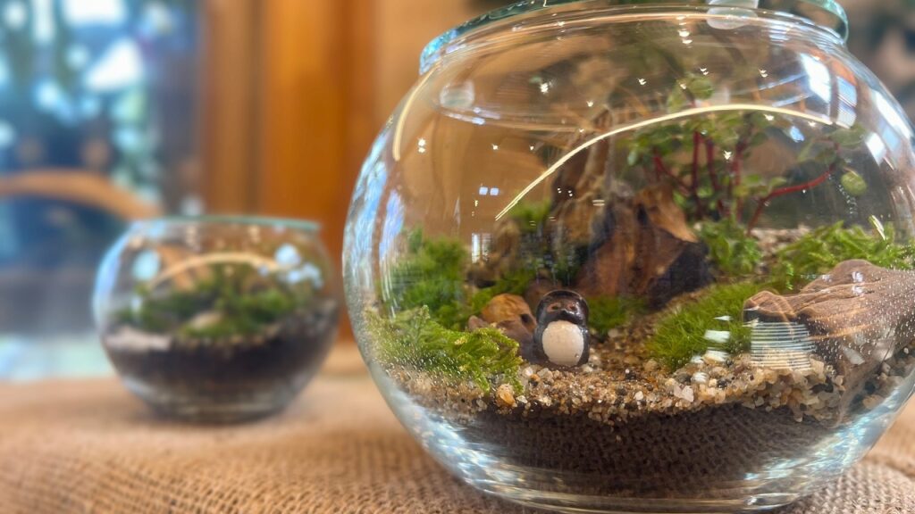 【コラム】小さな緑の世界‐苔テラリウム‐