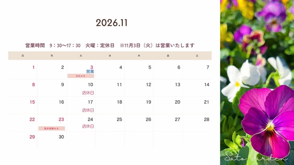 【Sato Garden】営業のお知らせ‐2026年11月‐