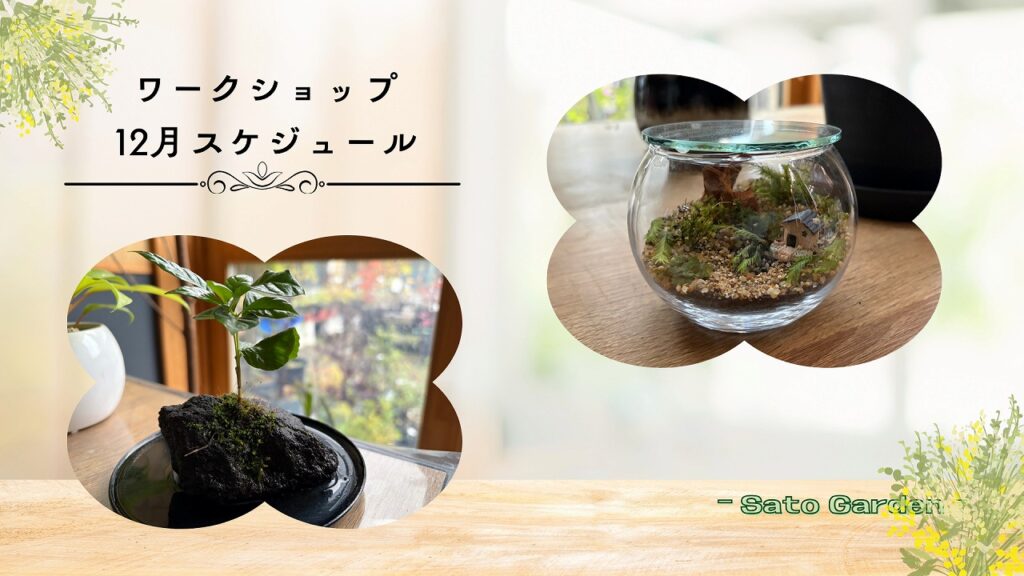 【イベント告知】ワークショップ【花育佐藤塾】2026年12月スケジュール