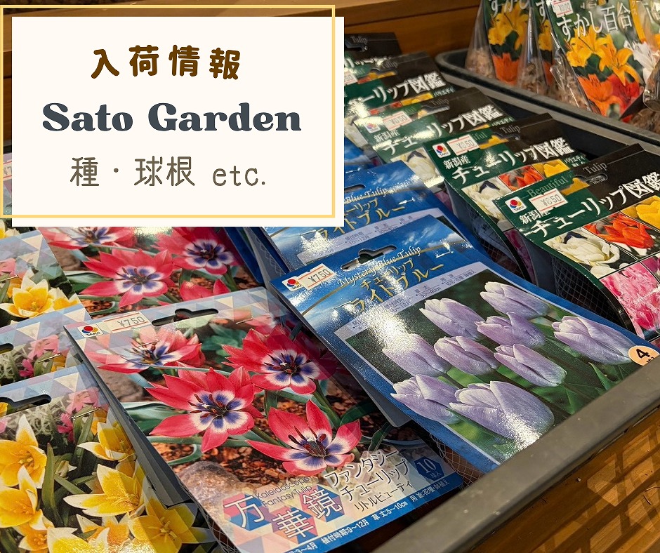 【入荷情報】球根・野菜の種 etc.