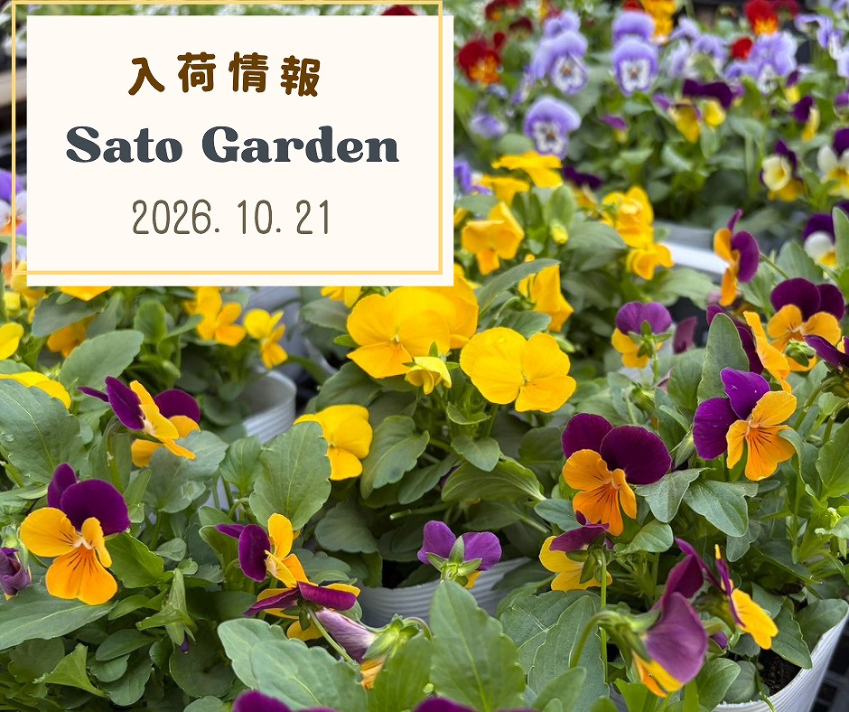 【入荷情報】2026.10.21