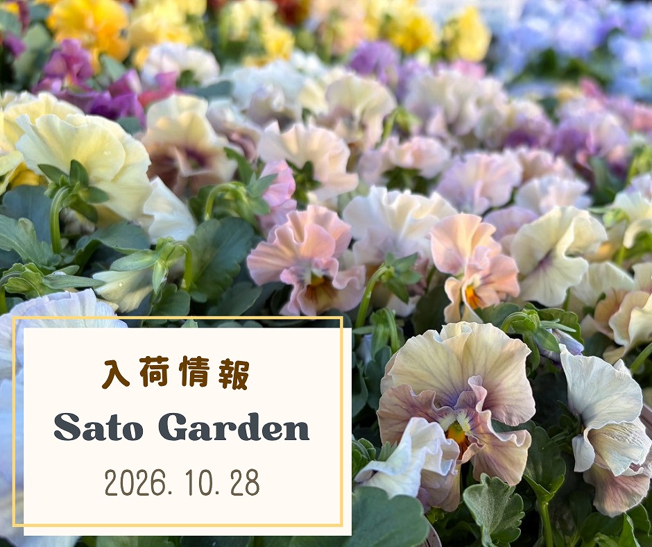 【入荷情報】2026.10.28